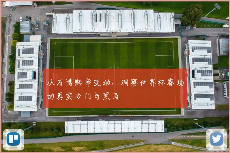从万博赔率变动，洞察世界杯赛场的真实冷门与黑马