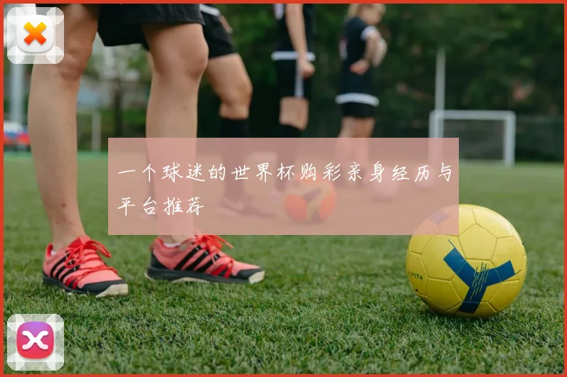 一个球迷的世界杯购彩亲身经历与平台推荐
