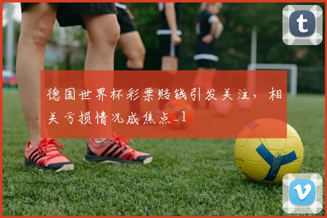 德国世界杯彩票赔钱引发关注，相关亏损情况成焦点_1