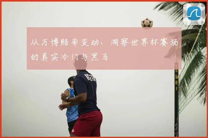 从万博赔率变动，洞察世界杯赛场的真实冷门与黑马