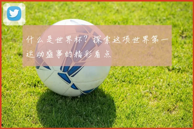 什么是世界杯？探索这项世界第一运动盛事的精彩看点