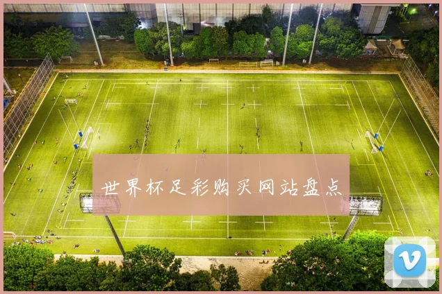 世界杯足彩购买网站盘点