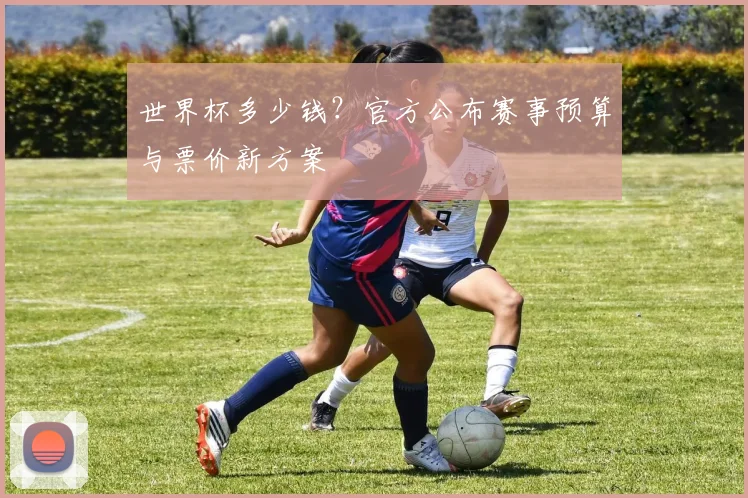 世界杯多少钱？官方公布赛事预算与票价新方案