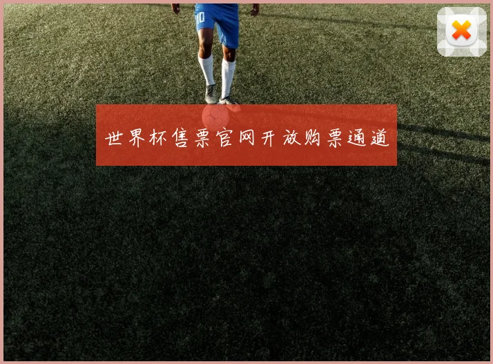 世界杯售票官网开放购票通道
