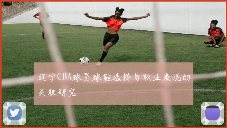 辽宁CBA球员球鞋选择与职业表现的关联研究