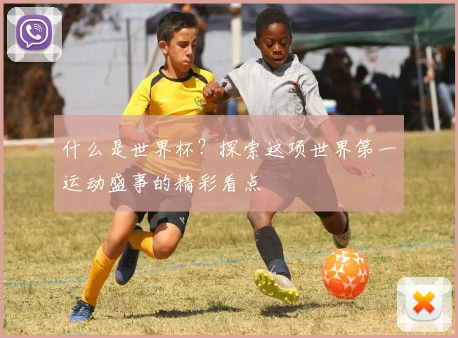 什么是世界杯？探索这项世界第一运动盛事的精彩看点