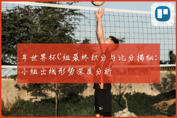 年世界杯C组最终积分与比分揭秘：小组出线形势深度分析