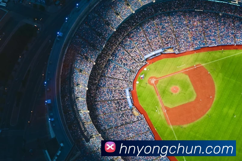 亚搏APP 高清赛事图